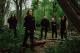 Cattle Decapitation, Incantation, Skeletal Remains: nyári koncerten érkezik a kultikus death metal hármas