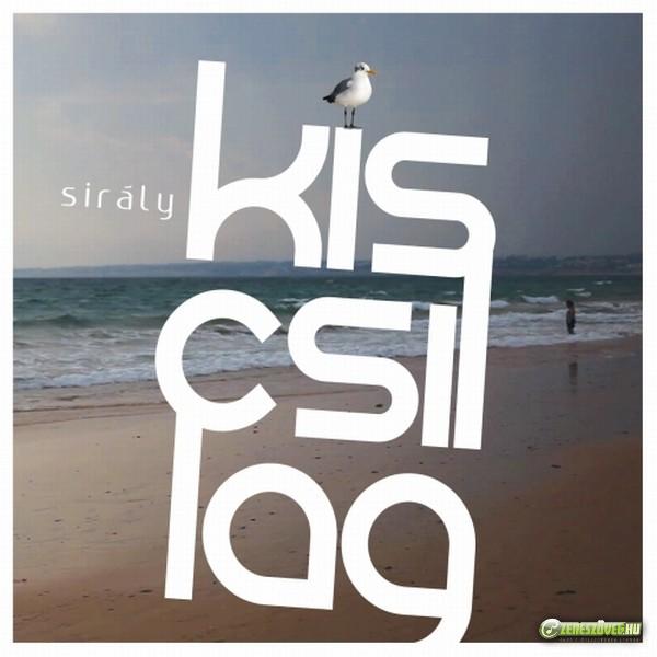 Kiscsillag Sirály