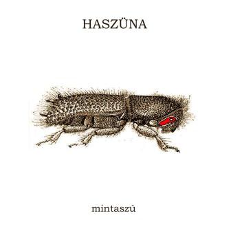 HaSzüNa Mintaszú