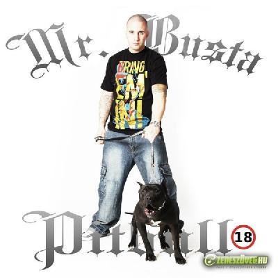 Mr. Busta Pitbull