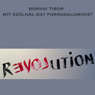Bornai Tibor Mit szólnál egy forradalomhoz?