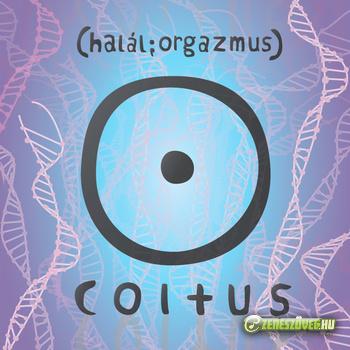 halál;orgazmus Coitus