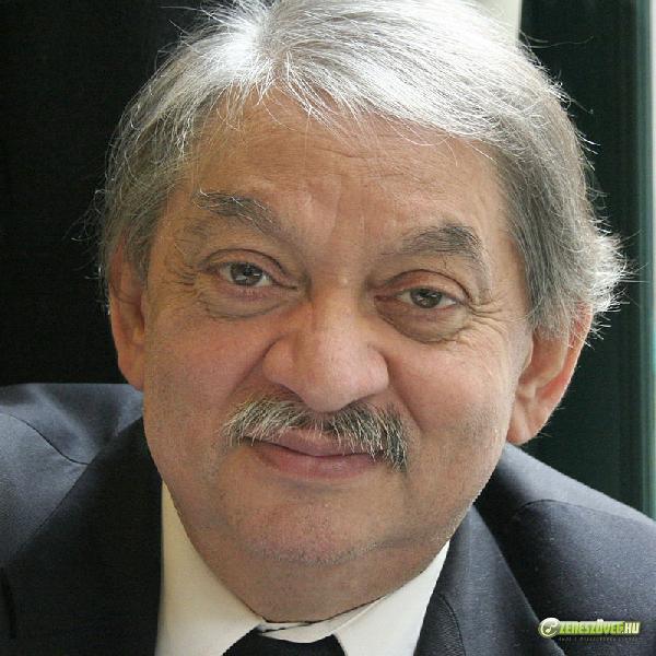 Csemer Géza Csemer Géza