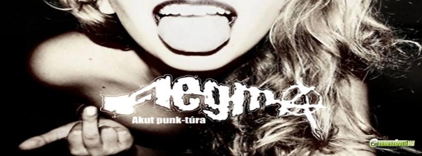 FlegmA Akut punk-túra