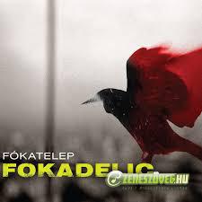 Fókatelep Focadelic