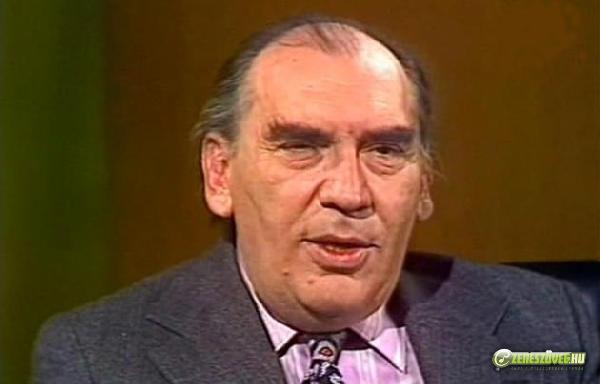 Romhányi József Romhányi József