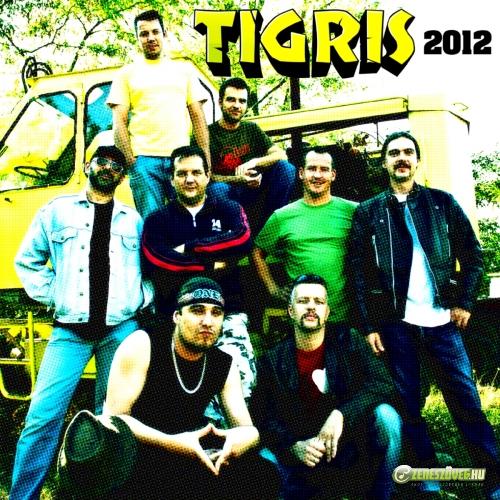 Tigris 2012 Maxi